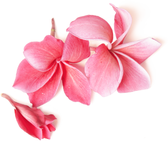 h1 decor 1 - Somi's Glamour Beauty Salon in Mehmoodabad