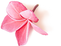 h1 decor 2 - Somi's Glamour Beauty Salon in Mehmoodabad